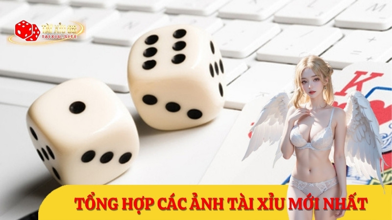 Kho hình ảnh tài xỉu offline và online đổi thưởng mới nhất 2025