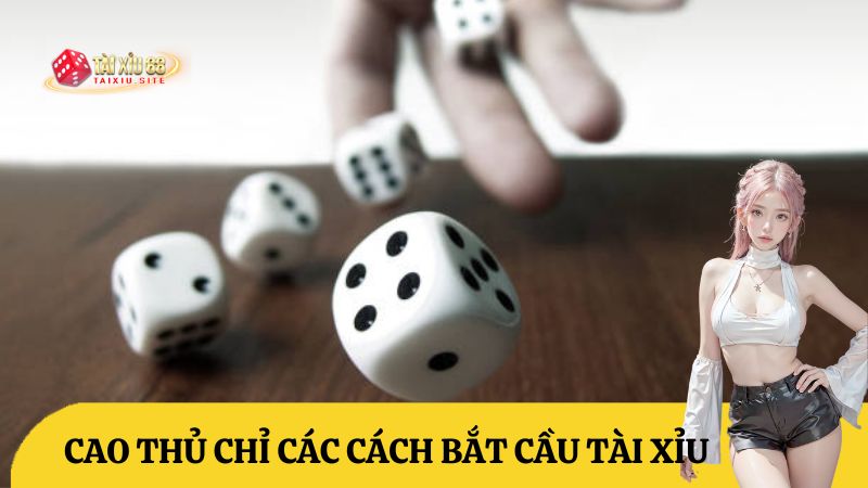 Cao thủ chỉ cách bắt cầu tài xỉu chính xác tới 93%. Cách soi cầu tài xỉu