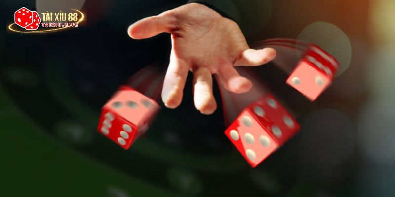 Hướng dẫn luật chơi tài xỉu offline cơ bản