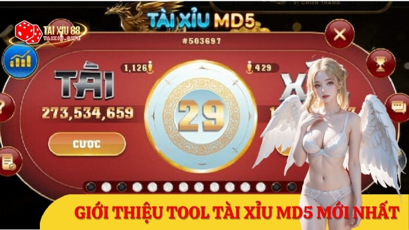 Giới thiệu tool tài xỉu MD5 mới nhất, tỷ lệ chính xác lên tới 91%